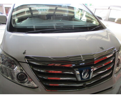 ﾄﾖﾀ　ｱﾙﾌｧｰﾄﾞ　ﾎﾞﾝﾈｯﾄ塗装剥がれ